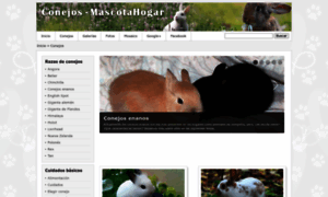 Conejos.mascotahogar.com thumbnail