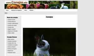 Conejos.wiki thumbnail