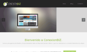 Conexion-seo.com.mx thumbnail