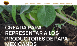 Conpapa.org.mx thumbnail