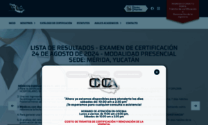 Consejoanestesia.org thumbnail