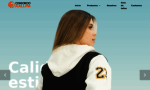 Consorciokallpa.com thumbnail