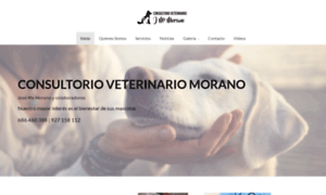 Consultorioveterinariomorano.com thumbnail