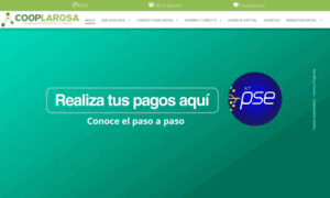 Cooperativalarosa.com thumbnail