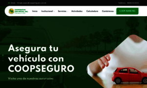 Cooperativasanmiguel.com.do thumbnail