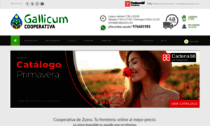 Cooperativazuera.com thumbnail