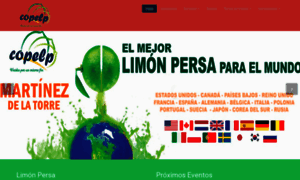 Copelp.org.mx thumbnail