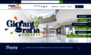 Copex.com.pe thumbnail