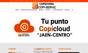 Copisteriacopiservic.es thumbnail