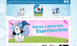 Coquetos.com.co thumbnail