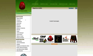 Corbidi.org thumbnail
