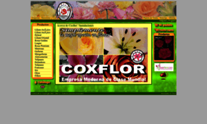 Coxflor.com thumbnail
