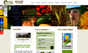 Cpaer.org thumbnail