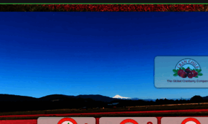 Cranchile.com thumbnail