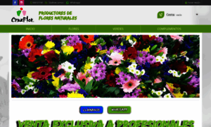 Cruzflor.com thumbnail