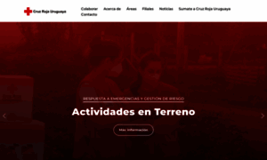 Cruzroja.org.uy thumbnail