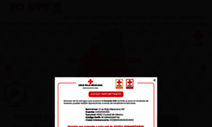 Cruzrojapuebla.mx thumbnail