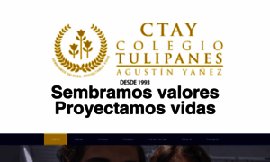 Ctay.mx thumbnail