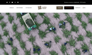 Cuatrorayas.org thumbnail