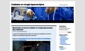 Cuidadosencirugialaparoscopica.wordpress.com thumbnail