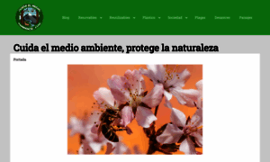 Cuidaelmedioambiente.com thumbnail