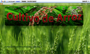 Cultivodearrozoryzasativa.blogspot.com thumbnail
