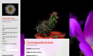 Cultivodecactus.com thumbnail