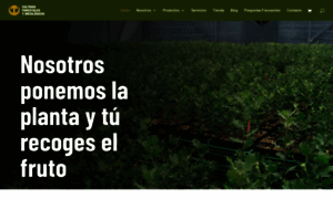 Cultivosforestales.com thumbnail