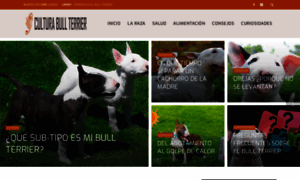 Culturabullterrier.com thumbnail