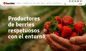Cunadeplatero.net thumbnail
