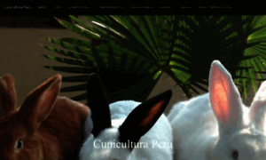 Cuniculturaperu.com thumbnail
