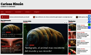 Curiosorincon.es thumbnail