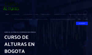 Cursodealturasbogota.com.co thumbnail