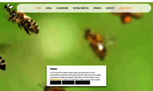 Cursosapicultura.com thumbnail