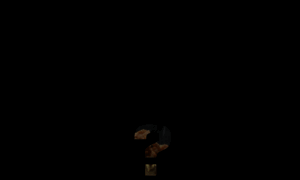 Danslenoir.com thumbnail