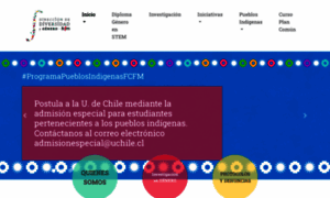 Ddg.ingenieria.uchile.cl thumbnail