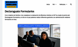 Declaraguateformularios.com thumbnail