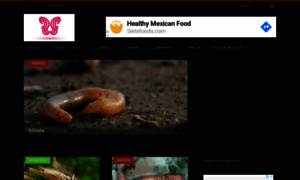 Deinsectos.org thumbnail