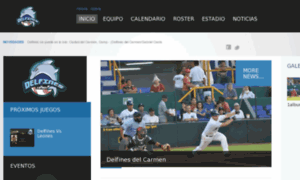 Delfinesdelcarmen.com thumbnail
