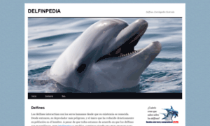Delfinpedia.com thumbnail