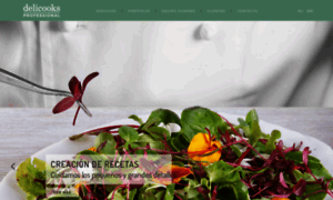 Delicooksprofessional.com thumbnail