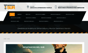 Desatascosdelsur.com thumbnail