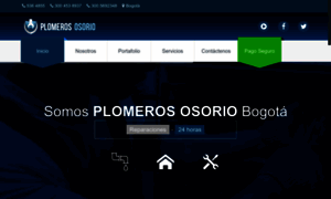 Destapesyplomeria.com thumbnail