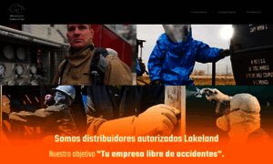 Destroyerindustrial.com thumbnail