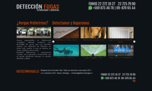 Deteccionfugas.cl thumbnail