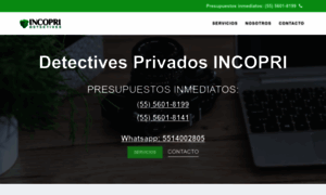 Detectivesababincopri.com.mx thumbnail
