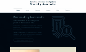 Detectivesmuriel.com thumbnail