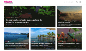Devmexico.wpengine.com thumbnail