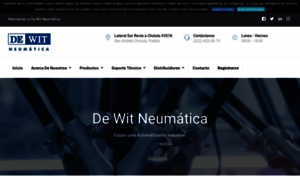 Dewitneumatica.mx thumbnail