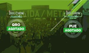 Diadelperro.com.mx thumbnail
